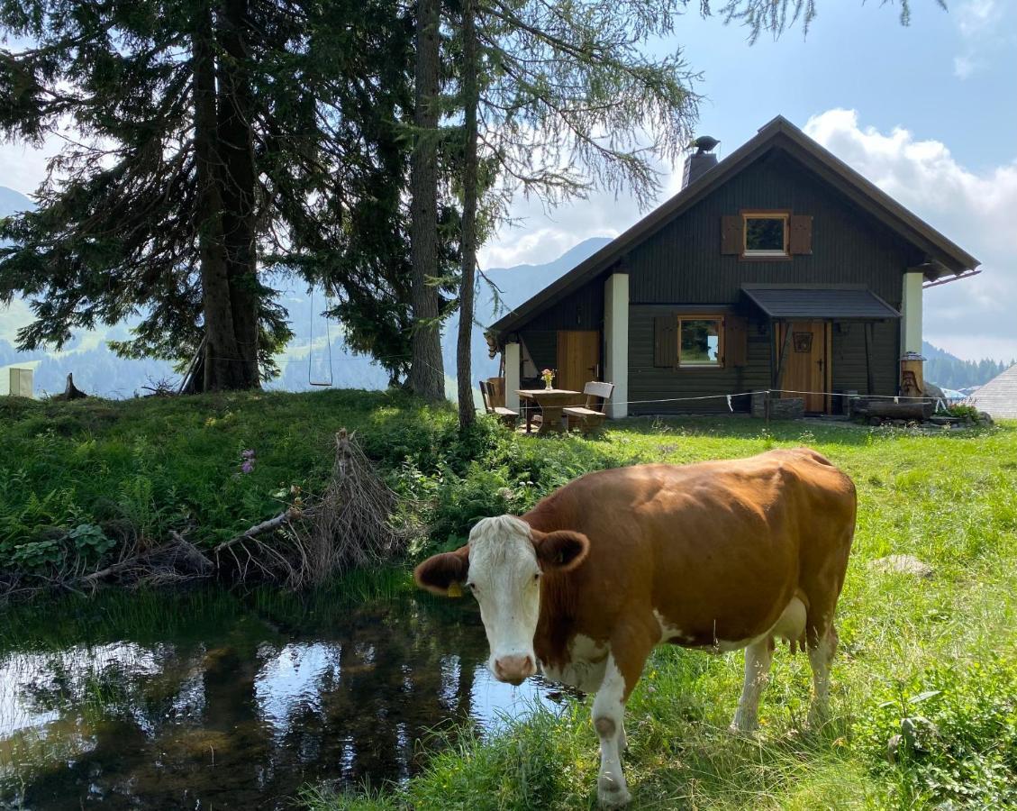 Gemuetliche Huette In Den Bergen Villa Sonnenalpe Nassfeld Luaran gambar