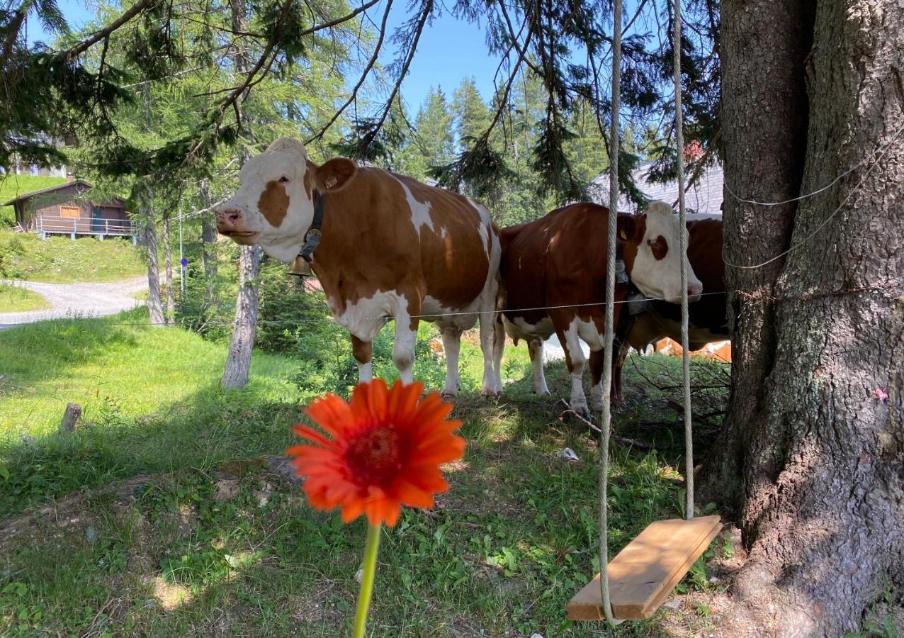 Gemuetliche Huette In Den Bergen Villa Sonnenalpe Nassfeld Luaran gambar