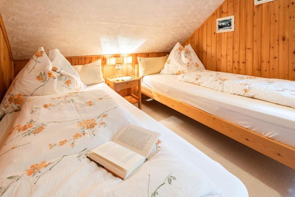 Gemuetliche Huette In Den Bergen Villa Sonnenalpe Nassfeld Luaran gambar