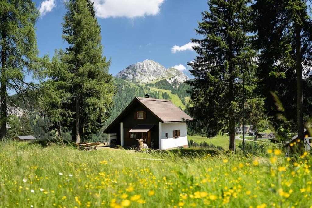 Gemuetliche Huette In Den Bergen Villa Sonnenalpe Nassfeld Luaran gambar